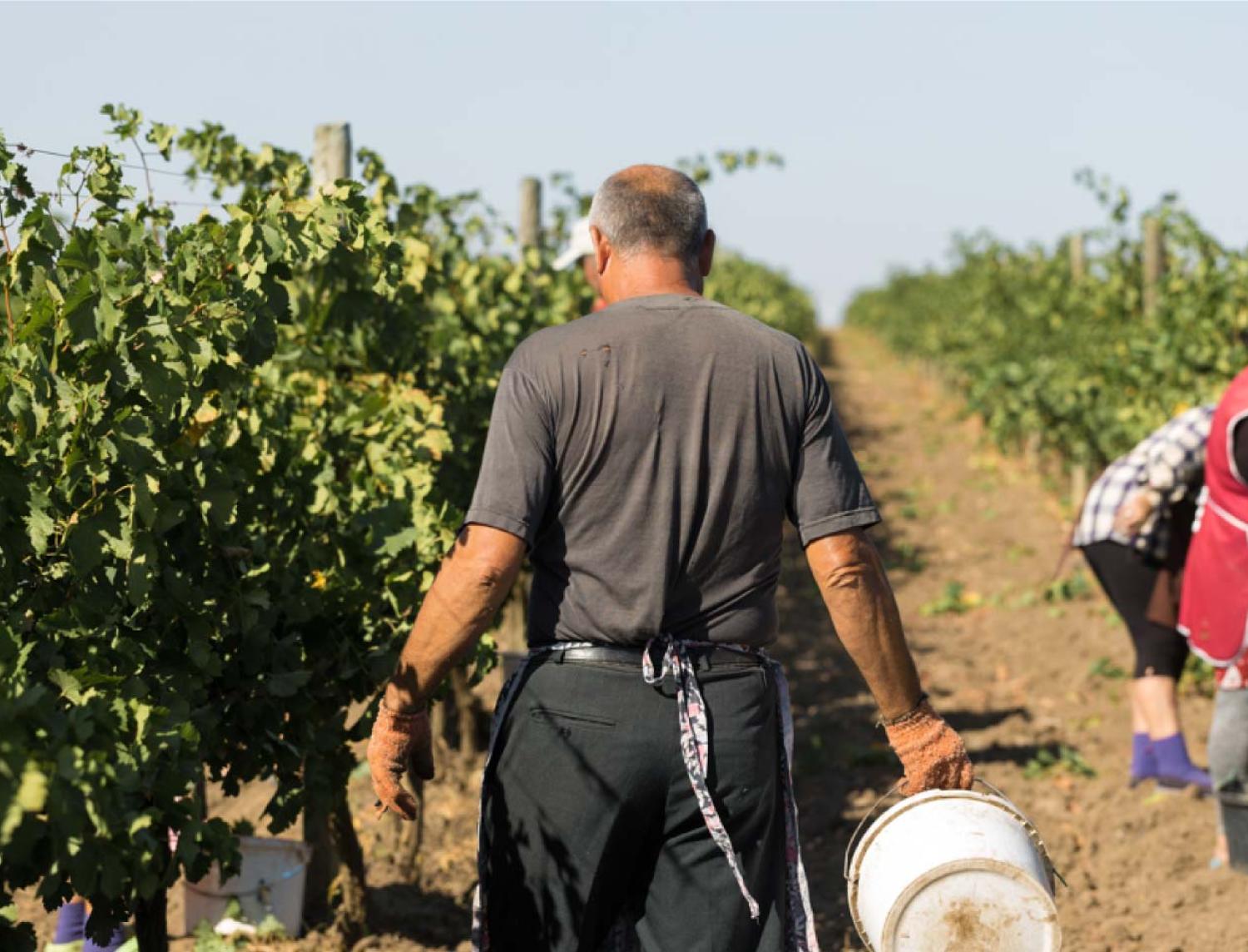 Garantía que Impulsa