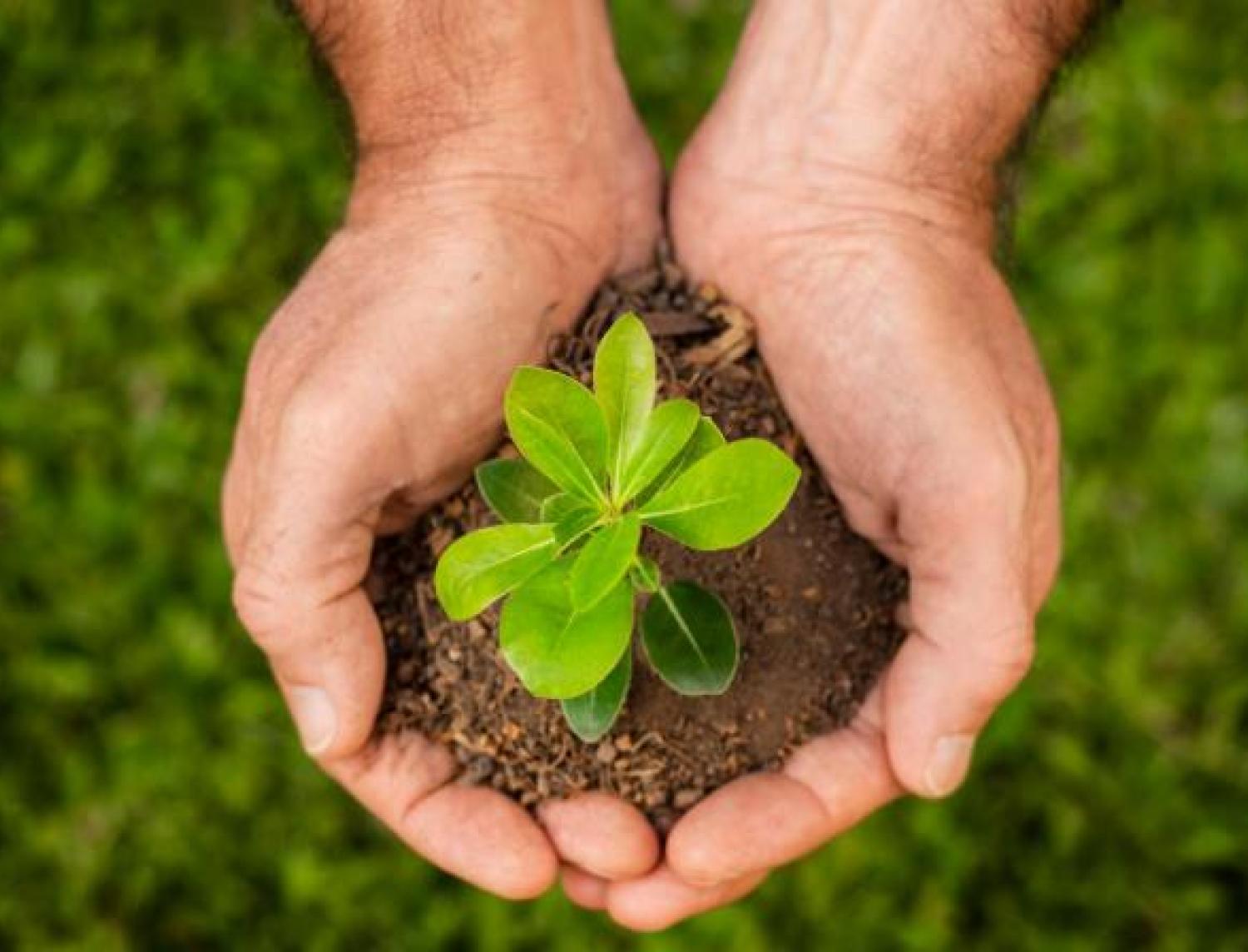 Bonificación SiGa Pymes y SiGa Micro